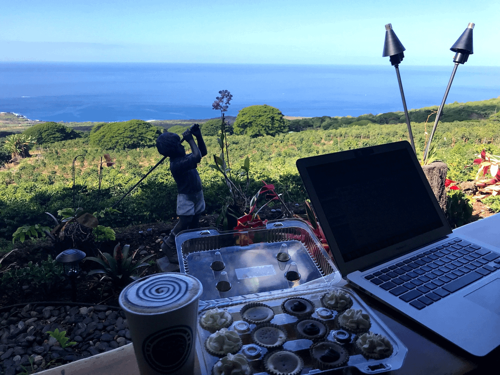 Working remotely Interoperate Kailua Kona Hawaii